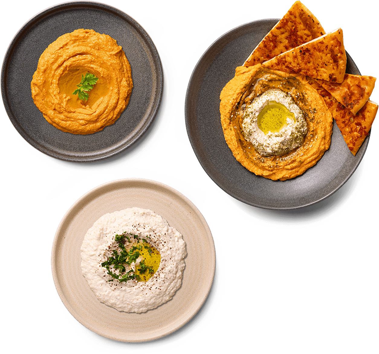 Dips and mezze dishes -smoky baba ghanouj and hummus at Naan Kabob