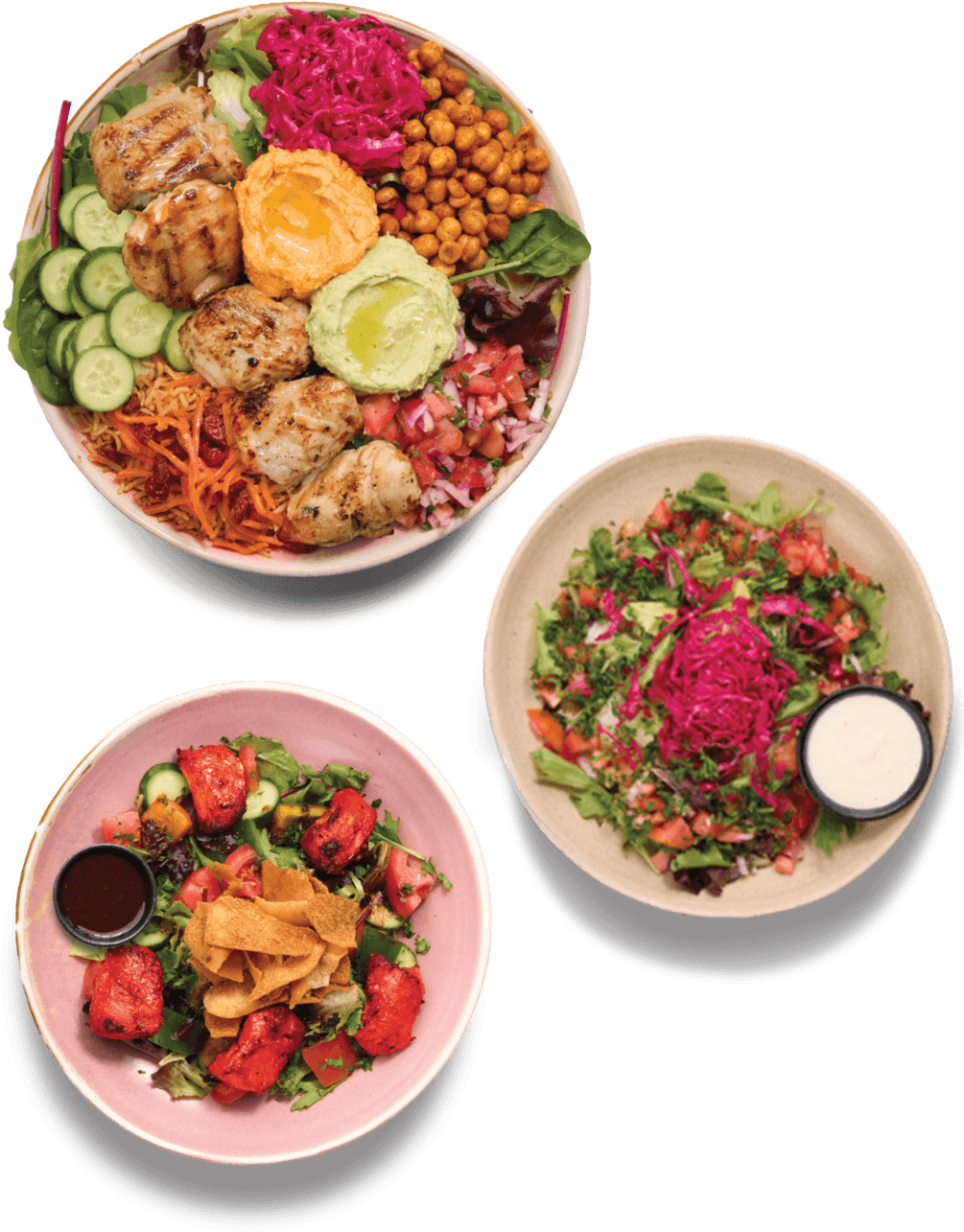 Bowls and salads dishes -Afghan bowl with quinoa rice and hummus